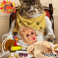 Turkey Day GIF animata