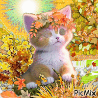 Cat-Autumn - GIF animate gratis