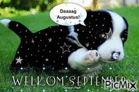 dag augustus welkom september κινούμενο GIF