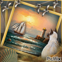 Cat and Sunset-RM-09-22-23 - GIF animé gratuit