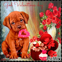 Happy Valentines day. Roses, dog, cake - Animovaný GIF zadarmo