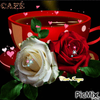 Caffè con Rosa bianca rossa - GIF animate gratis