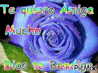 Te quiero Amiga mucho - Бесплатный анимированный гифка