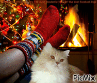 Christmas fireplace GIF animé