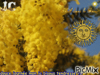soleil soleil !!!! - Zdarma animovaný GIF