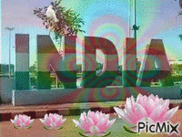 india - Δωρεάν κινούμενο GIF