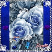 rose bleu - Zdarma animovaný GIF