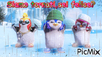Pingui - GIF animé gratuit