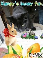 bunny cuteness - GIF เคลื่อนไหวฟรี