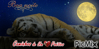 boa noite do tigre - GIF animado grátis
