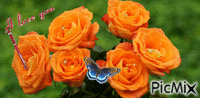 розы - GIF animado grátis