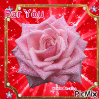 pink rose анимиран GIF