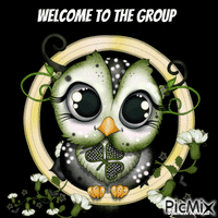 welcome owl GIF animasi