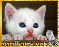 meilleurs voeux - Free animated GIF