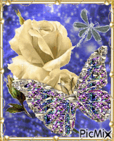 A rose and butterflies. анимирани ГИФ