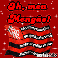 Flamengo animovaný GIF