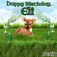 Happy Birthday, Eli