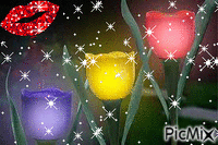 tulipananes ♥ ♥ - Gratis animeret GIF
