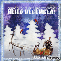 Hello December! - GIF animé gratuit