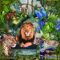 Jungle animēts GIF