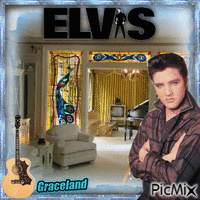 Elvis Presley Fan - Gratis geanimeerde GIF