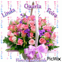 Linda Quarta-Feira GIF แบบเคลื่อนไหว