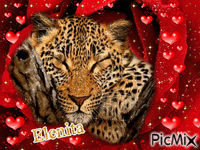 Leopardo - GIF animasi gratis