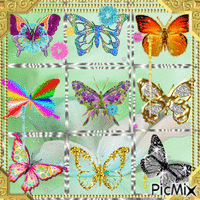 Papilllons - GIF animé gratuit