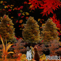 Outono animowany gif