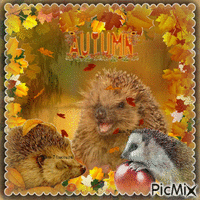 Automne Herbst autumn animovaný GIF