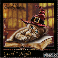 Sweet dreams, good night. Cat
