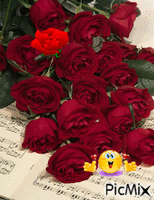 trandafirii - GIF animate gratis