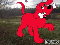 Clifford in real life animovaný GIF