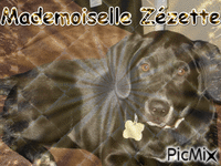 Mlle Zézette - Бесплатный анимированный гифка