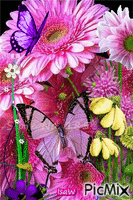 Mes fleurs :) - Besplatni animirani GIF