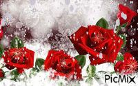 téli rózsa - Бесплатный анимированный гифка