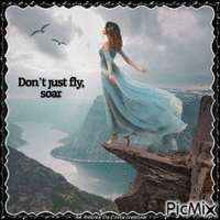 Don't Just Fly, Soar! - Gratis geanimeerde GIF