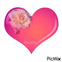 heart and roze animuotas GIF