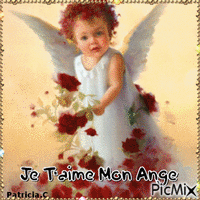 anges 动画 GIF