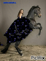 beauty in horse - GIF animado grátis