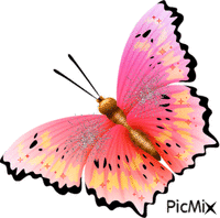 motyl - Darmowy animowany GIF