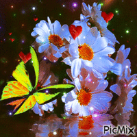 Flower GIF animé