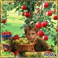 La saison des pommes - Ingyenes animált GIF