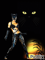 Cat Woman - 無料のアニメーション GIF