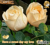 have a sweet day my love GIF animado