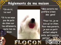 Flocon - Kostenlose animierte GIFs