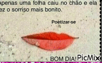 folha - Бесплатный анимированный гифка