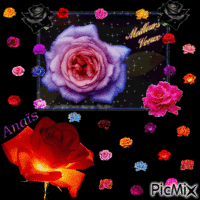 titre : plein de roses pour la nouvelle année ... animuotas GIF