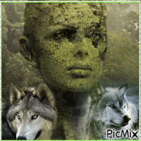 nature et loups - GIF animado gratis