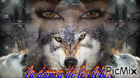 la dama  de los lobos - Δωρεάν κινούμενο GIF